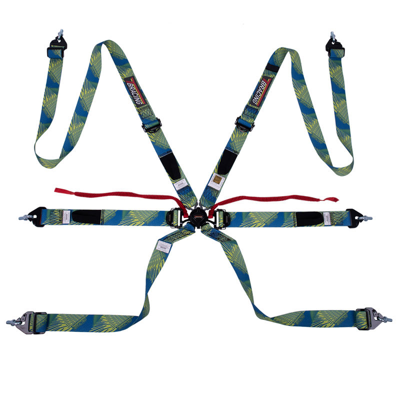 FIA 6 point racing seat belt Rally - TAIWAN BIKE RACK CO.,LTD