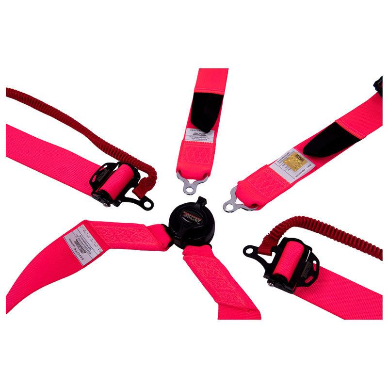 FIA 6 point racing seat belt Rally - TAIWAN BIKE RACK CO.,LTD