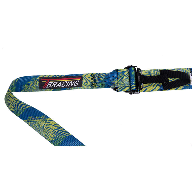 FIA 6 point racing harness WRC Rally - TAIWAN BIKE RACK CO.,LTD